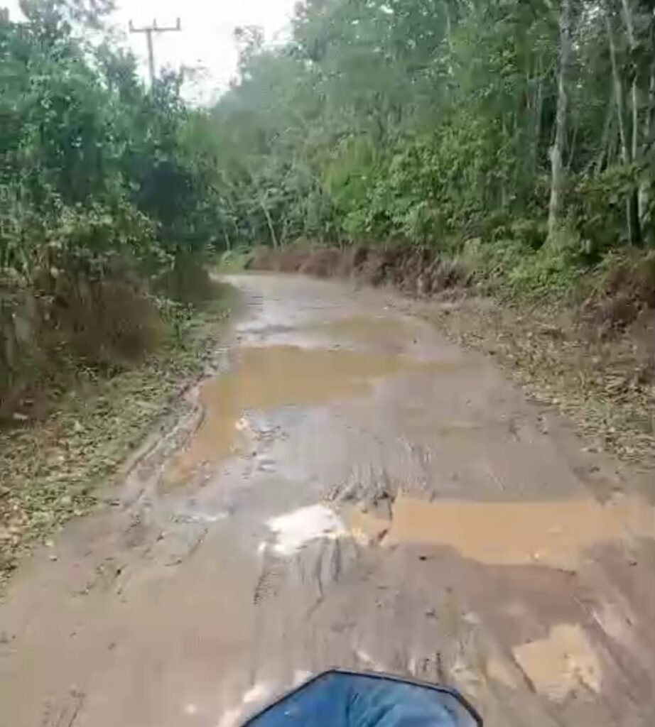 Jalan Utama Desa Muara Damai Menuju SMP N 03 Rusak Parah, Dimana Peran Pemerintah?
