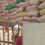 CV. PMJF Terhutang Jagung 20 Ton Senilai Rp. 120 juta, Pemilik Kecewa