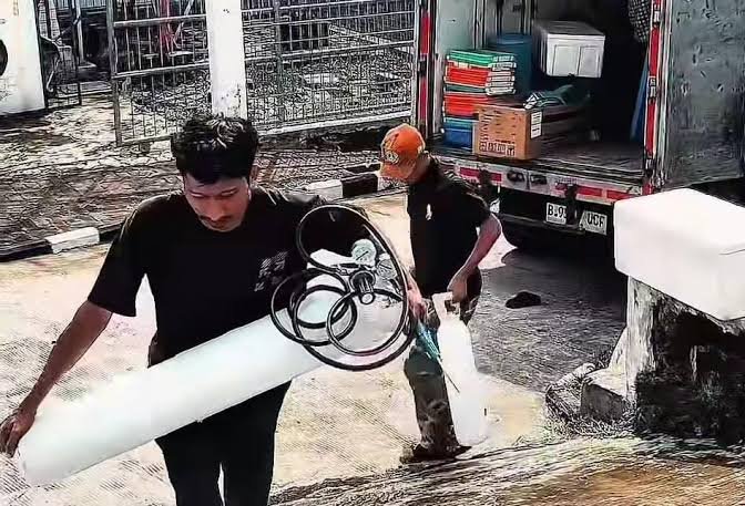 Ribuan Benih Lobster Ilegal Siap Ekspor, Di Amankan Kejaksaan Bogor