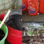 Oknum Istri Kepala Desa Sadeng, Intimidasi Sejumlah Jurnalis Terkait Pesta Narkoba Dan Oli Oplosan 