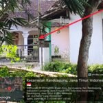 Warga Resah  , Diduga Pihak APH Polres Lumajang Tutup Mata dan Bungkam Maraknya Penjualan Pil Koplo Desa Randuagung