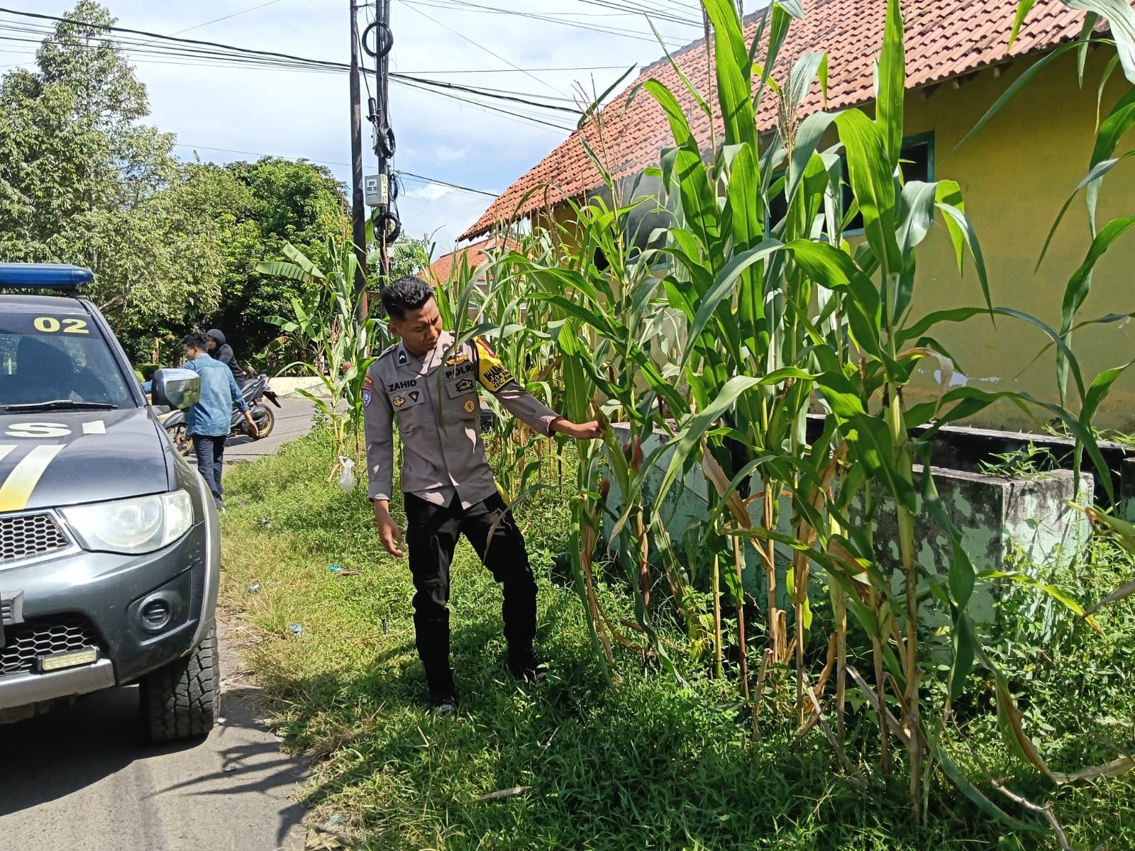 Dukung Asta Cita Presiden, Polsek Randuagung Sukses Kawal Ketahanan Pangan Jagung di Ranulogong