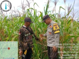 Bhabinkamtibmas Air Kumbang Gerakkan Warga Desa Nusa Makmur Dukung Swasembada Pangan Humas Polres Banyuasin Polda Sumsel Banyuasin – Dalam upaya mendukung Program Swasembada Pangan Nasional yang dicanangkan Presiden RI, jajaran Kepolisian Sektor (Polsek) Air Kumbang secara aktif menggerakkan partisipasi masyarakat di wilayah hukumnya. Salah satu kegiatan dilakukan oleh Bhabinkamtibmas Aipda Apri Haryono di Desa Nusa Makmur, Kecamatan Air Kumbang, Kabupaten Banyuasin, pada Sabtu (16/5/2026). Kegiatan yang berlangsung mulai pukul13.30 Wib hingga selesai tersebut, difokuskan pada sosialisasi dan himbauan langsung kepada warga desa. Aipda Apri Haryono mengajak masyarakat untuk melaksanakan Program P2B (Pangan, Peternakan, dan Perikanan Bergizi) sebagai salah satu langkah konkret mewujudkan ketahanan pangan nasional. "Kita ingin masyarakat tidak hanya menjadi penonton, tetapi pelaku utama dalam program swasembada pangan. Melalui P2B, warga dapat memanfaatkan pekarangan dan lahan tidur untuk ditanami komoditas pangan bergizi," ujar Aipda Apri dalam himbauannya kepada warga Desa Nusa Makmur. Dalam giat tersebut, Bhabinkamtibmas juga memberikan motivasi serta pendampingan awal terkait pola tanam dan pemanfaatan sumber daya lokal. Antusiasme warga terlihat cukup tinggi, mengingat sektor pertanian dan perkebunan merupakan mata pencaharian utama di wilayah tersebut. Kapolsek Air Kumbang melalui laporan resmi yang disampaikan kepada Kapolres Banyuasin menyebutkan bahwa selama kegiatan berlangsung, situasi keamanan dan ketertiban masyarakat (kamtibmas) di Desa Nusa Makmur berjalan aman dan kondusif. "Kami akan terus menginstruksikan seluruh Bhabinkamtibmas untuk menggerakkan partisipasi aktif masyarakat dalam program strategis nasional ini, dengan tetap mengedepankan pendekatan humanis dan preventif," demikian isi laporan yang ditembuskan kepada Wakapolres Banyuasin, Kabag Ops Polres Banyuasin, dan Kasat Binmas Banyuasin. Kegiatan ini merupakan bagian dari sinergi TNI-Polri dengan masyarakat dalam mendukung ketahanan pangan di tingkat desa, sekaligus mempererat kedekatan polisi dengan warga binaannya.