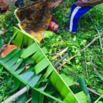 Dendam Lama Pemicu Carok di Sumberwingin Klakah, Satu Tewas Satu