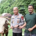 70 Sapi dan 5 Domba Qurban Polda Banten Disalurkan kepada Masyarakat