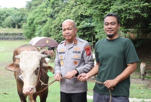 70 Sapi dan 5 Domba Qurban Polda Banten Disalurkan kepada Masyarakat
