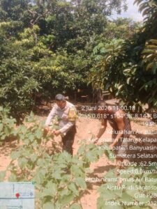 https://cnusantaranews.com/2026/06/03/dukung-swasembada-pangan-nasional-bhabinkamtibmas-talang-kelapa-gerakkan-warga-air-batu-humas-polres-banyuasin-polda-sumsel-banyuasin-dalam-upaya-mendukung-program-strategis-pemerintah/