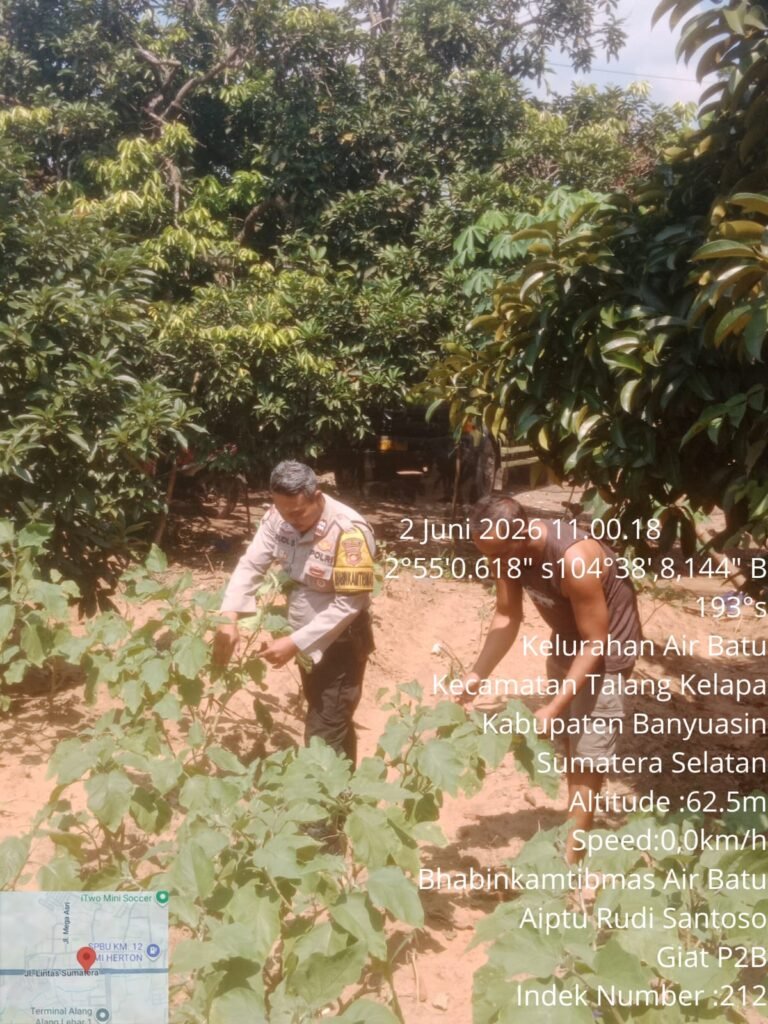 Dukung Swasembada Pangan Nasional, Bhabinkamtibmas Talang Kelapa Gerakkan Warga Air Batu   Humas Polres Banyuasin Polda Sumsel   Banyuasin – Dalam upaya mendukung program strategis pemerintah di bidang ketahanan pangan, Bhabinkamtibmas Polsek Talang Kelapa, AIPTU Rudi Santoso, menggelar kegiatan himbauan dan penggerakan masyarakat di Kelurahan Air Batu, Kecamatan Talang Kelapa, Kabupaten Banyuasin, pada Selasa (2/6/2026).  Kegiatan yang berlangsung mulai pukul 13.00 WIB hingga selesai tersebut difokuskan pada sosialisasi Program P2B (Pangan, Protein, dan Biogas) yang dicanangkan sebagai bagian dari dukungan terhadap Program Presiden RI menuju Swasembada Pangan Nasional.  AIPTU Rudi Santoso terlihat aktif berinteraksi dengan warga setempat, menghimbau serta mengajak partisipasi aktif masyarakat dalam mensukseskan program tersebut. Beliau menekankan bahwa keberhasilan swasembada pangan tidak hanya bergantung pada pemerintah dan aparat keamanan, tetapi juga membutuhkan peran serta seluruh lapisan masyarakat dari tingkat bawah.  “Ketahanan pangan adalah tanggung jawab kita bersama. Melalui program P2B, kita bisa mulai dari lingkungan sendiri, memanfaatkan lahan pekarangan, dan mengelola sumber daya lokal untuk kemandirian pangan,” ujar AIPTU Rudi Santoso.  Sepanjang kegiatan berlangsung, situasi di lokasi terpantau aman, tertib, dan kondusif. Masyarakat tampak antusias menerima sosialisasi yang disampaikan dengan pendekatan humanis oleh Bhabinkamtibmas.  Kapolsek Talang Kelapa menyampaikan kepada Kapolres Banyuasin menyampaikan bahwa kegiatan ini merupakan wujud nyata kepolisian yang tidak hanya menjaga keamanan, tetapi juga hadir sebagai mitra strategis masyarakat dalam mendukung program pembangunan nasional.