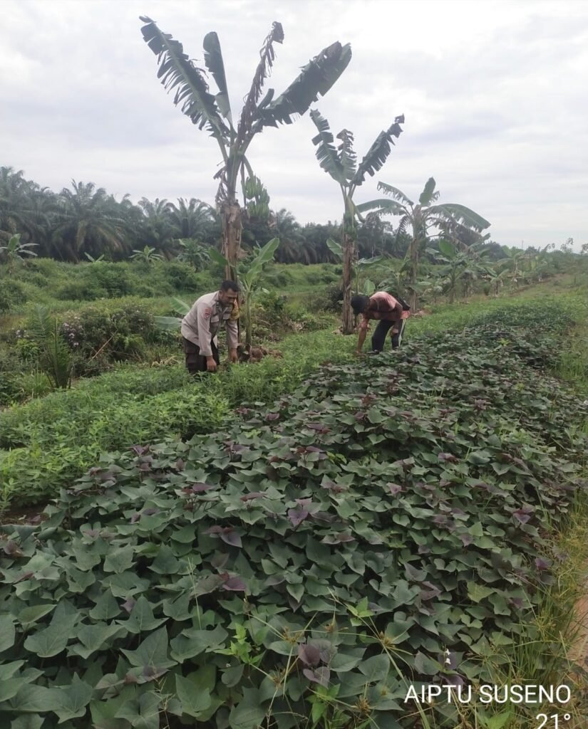 Bhabinkamtibmas Polsek Tungkal Ilir Ajak Warga Dukung Swasembada Pangan di Desa Bumi Serdang