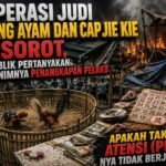 Arena Dibongkar, Pelaku Tak Tersentuh? Transparansi Operasi Judi Sabung Ayam Jember Jadi Sorotan Publik