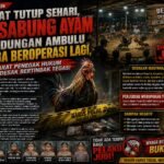 Arena Sabung Ayam Bedungan Diduga Beroperasi Lagi, Publik Pertanyakan Keseriusan Penegakan Hukum di Jember