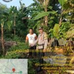 Pekarangan Pangan Bergizi di Banyuasin Didorong Jadi Tulang Punggung Ketahanan Pangan