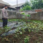 Bhabinkamtibmas Polsek Gucialit Aktif Dukung Ketahanan Pangan Nasional