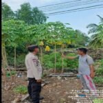 Bhabinkamtibmas Polsek Banyuasin II Ajak Warga Marga Sungsang Manfaatkan Pekarangan untuk Ketahanan Pangan