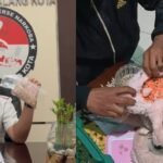 Disembunyikan dalam Boneka, 1.360 Ekstasi Ditemukan Polisi di Rumah Kontrakan Lawang