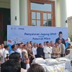 Peternak Unggas Sambut Positif Komitmen Pemerintah: Dari Ketersediaan Pakan Hingga Pembangunan Pabrik Pengolahan Hasil Ternak