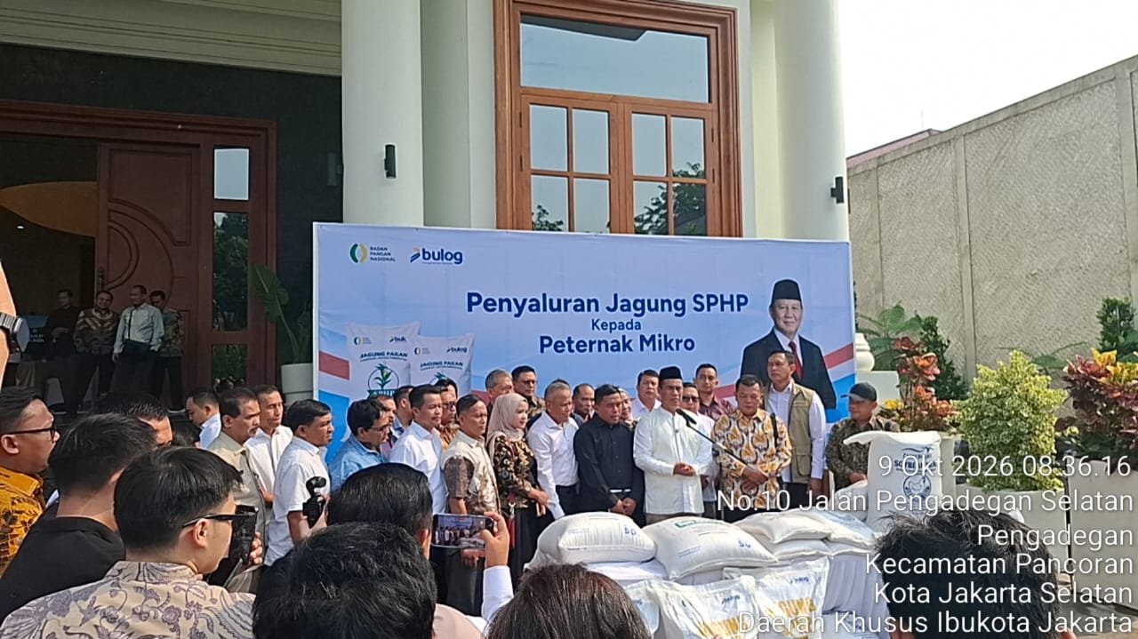 Peternak Unggas Sambut Positif Komitmen Pemerintah: Dari Ketersediaan Pakan Hingga Pembangunan Pabrik Pengolahan Hasil Ternak